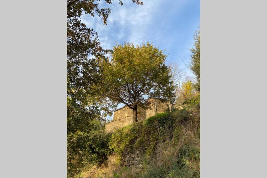 La Pellegrine, Parc National Des Cevennes Villa Le Salson Dış mekan fotoğraf