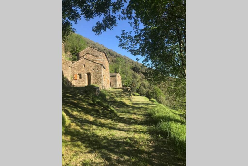 La Pellegrine, Parc National Des Cevennes Villa Le Salson Dış mekan fotoğraf