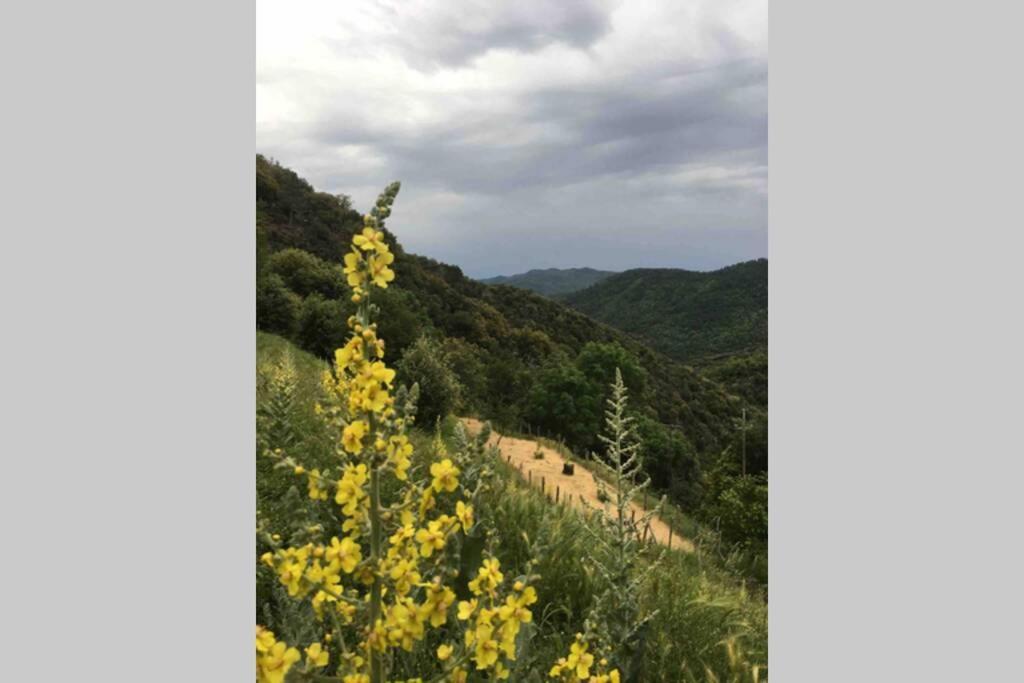 La Pellegrine, Parc National Des Cevennes Villa Le Salson Dış mekan fotoğraf
