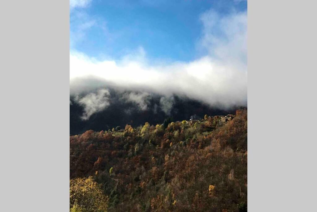 La Pellegrine, Parc National Des Cevennes Villa Le Salson Dış mekan fotoğraf