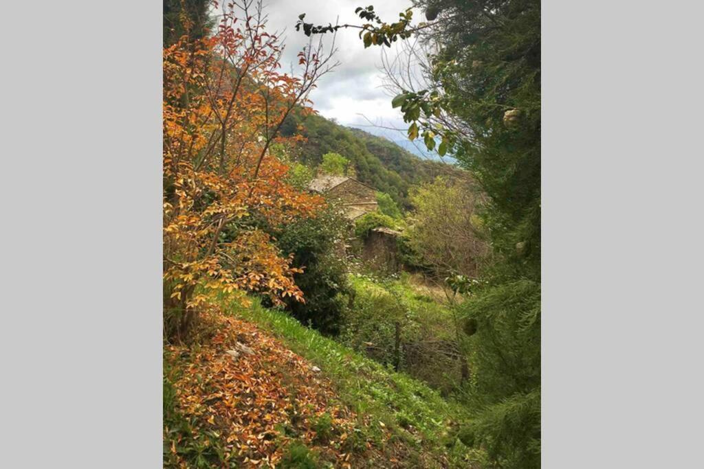 La Pellegrine, Parc National Des Cevennes Villa Le Salson Dış mekan fotoğraf